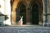 Hase Münster Bern 3