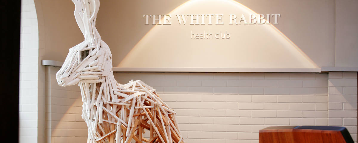the-white-rabbit_faq.JPG
